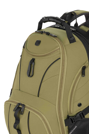 #color_olive-green