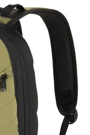 #color_olive-green