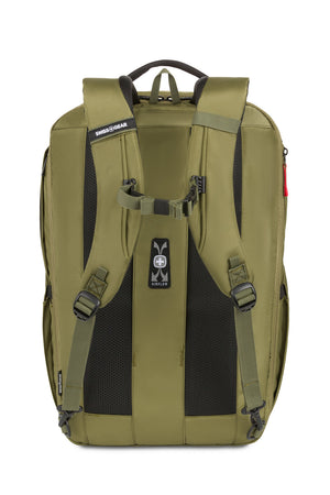#color_olive-green