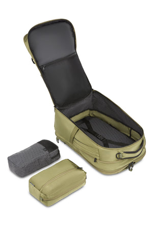 #color_olive-green