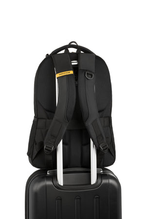 #color_black-gold