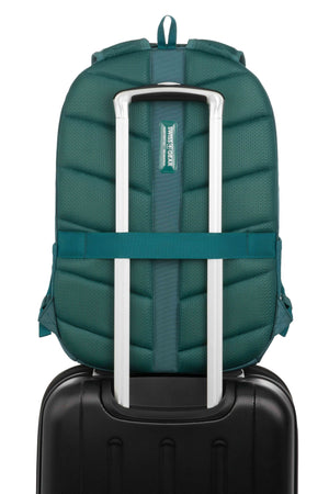 #color_light-teal