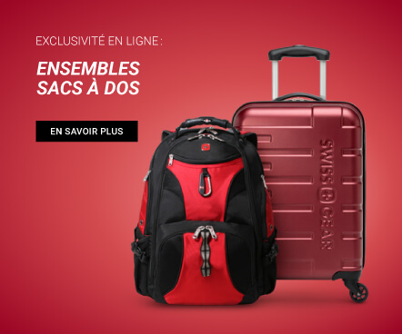 swiss gear valise