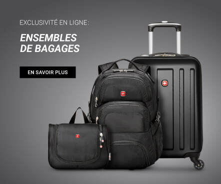swiss gear valise