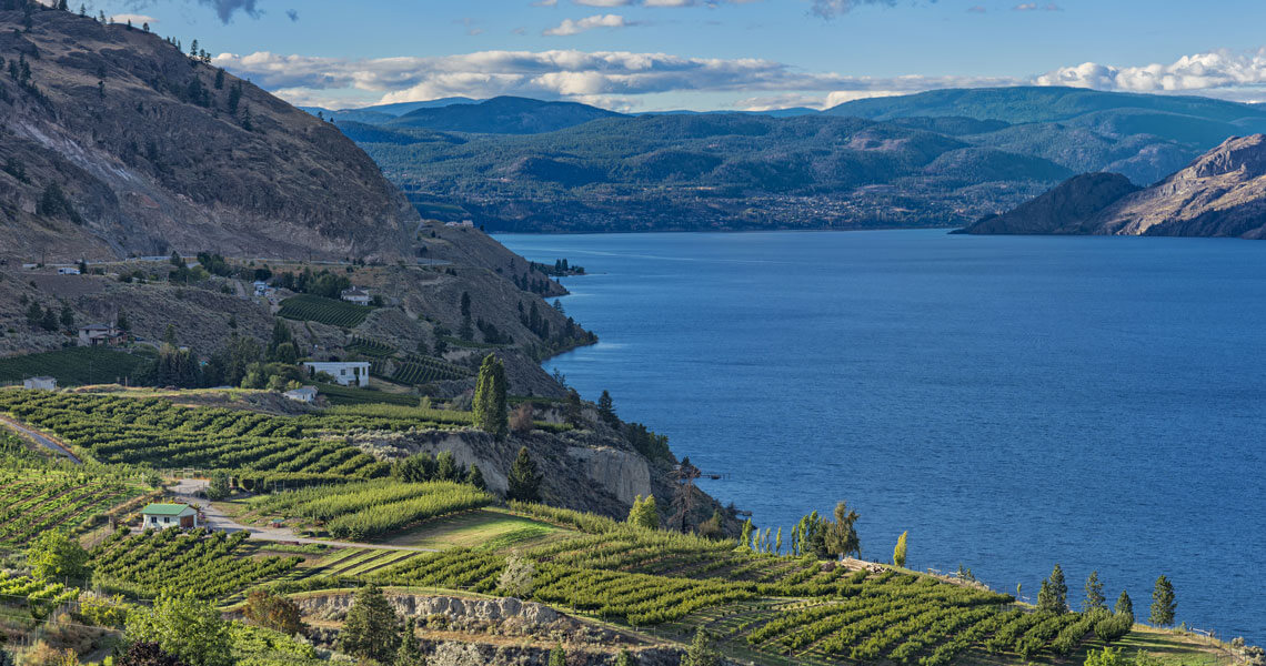 Vineyards near Lake Okanagan, British Columbia, Canada